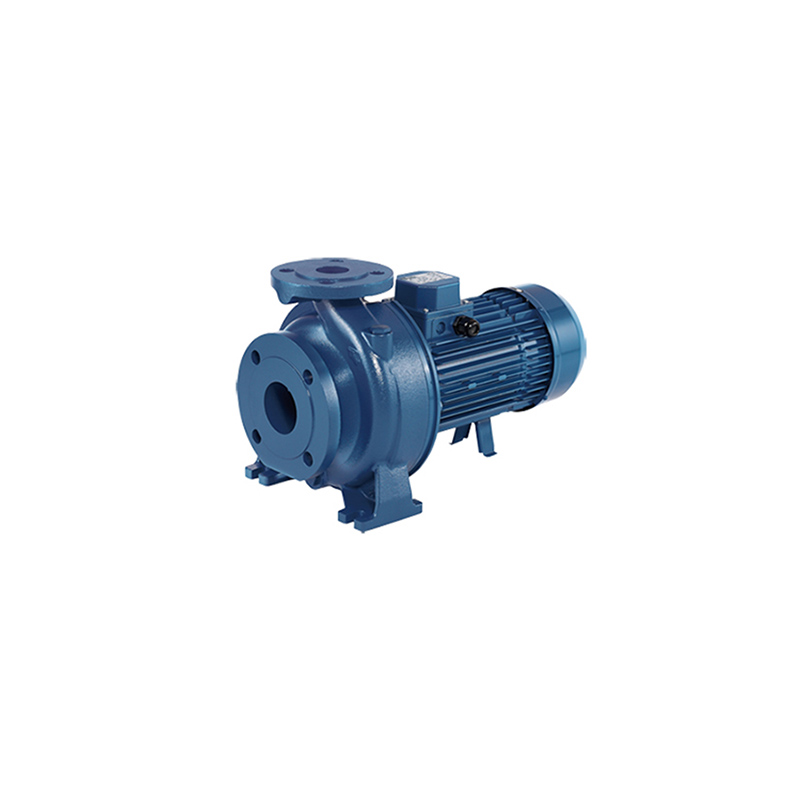3D - Centrifugal Pump 2 Pole Cast Iron, Extended shaft type
